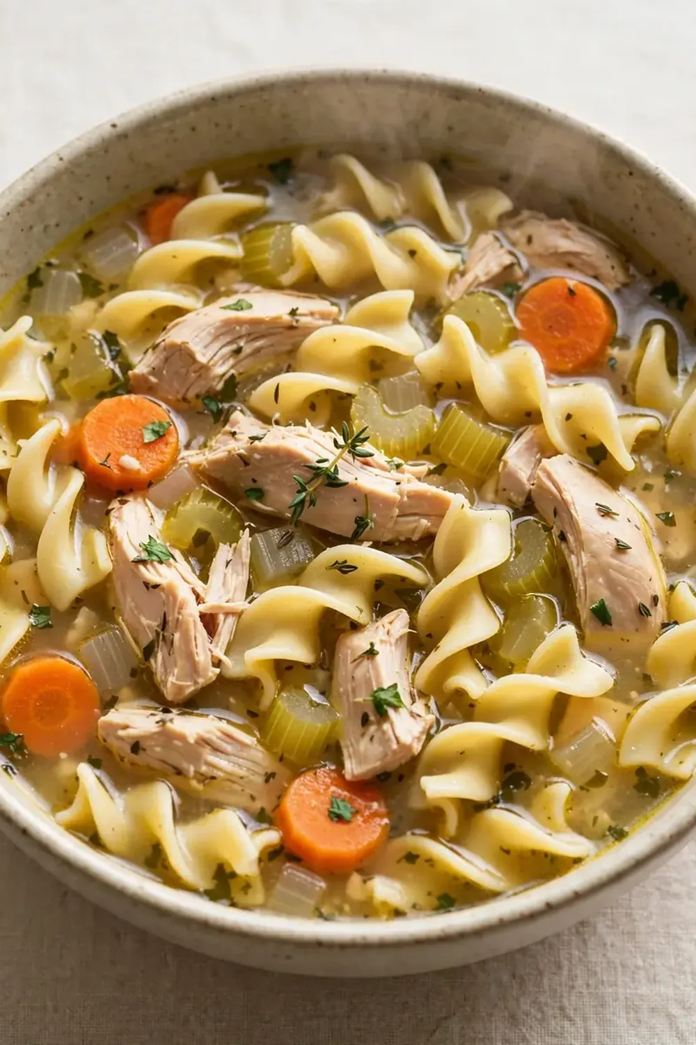 Crockpot Chicken Noodle Soup