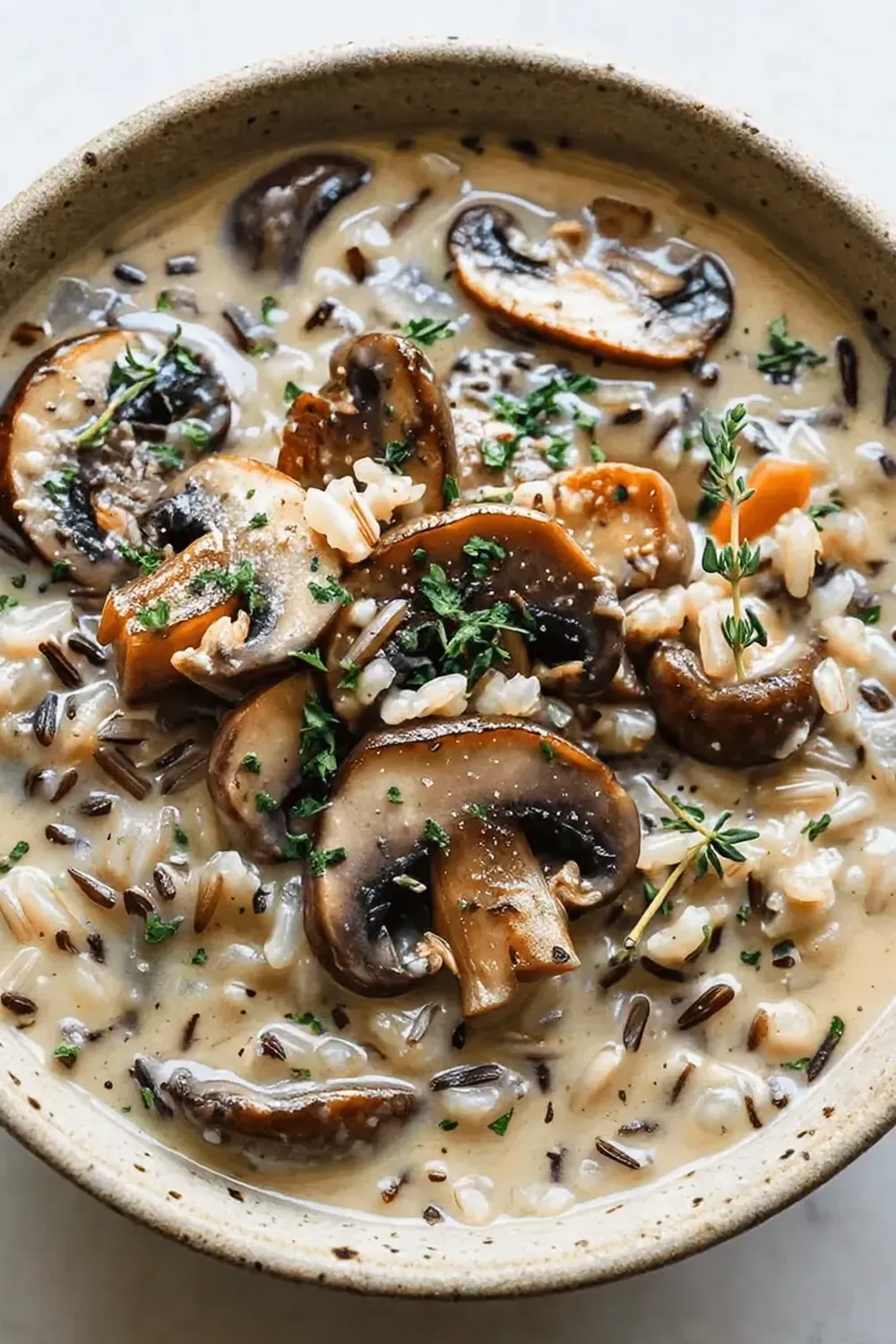 Slow Cooker Creamy Wild Rice and Mushroom Soup