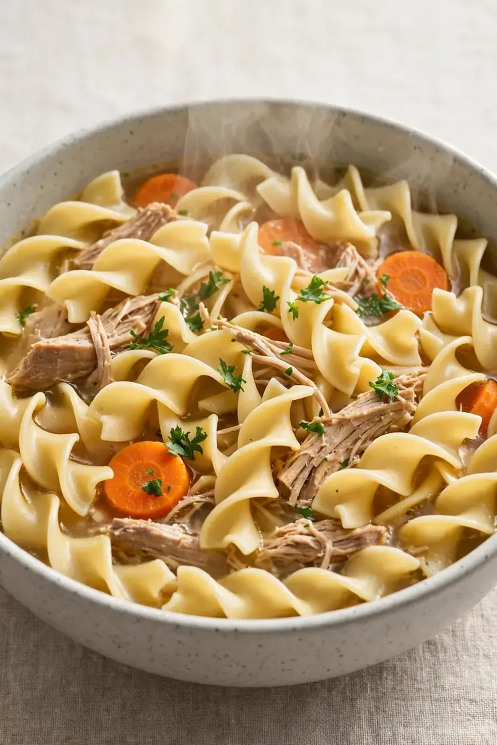 Crockpot Chicken Soup with Noodles